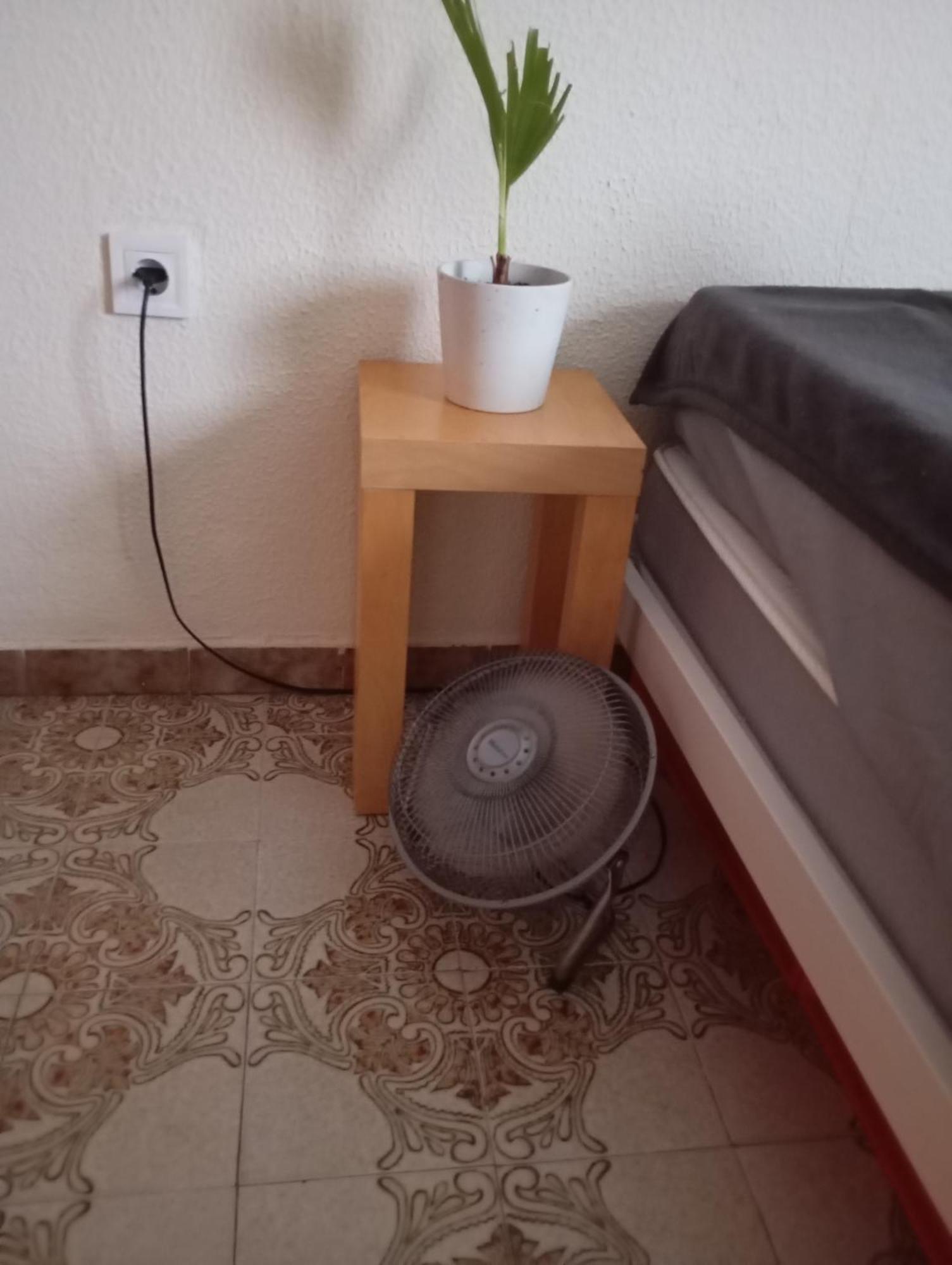 Grosses Modernes Zimmer "Silber" Fuer 2 Personen Und Katzenliebhaber Valencia Bagian luar foto