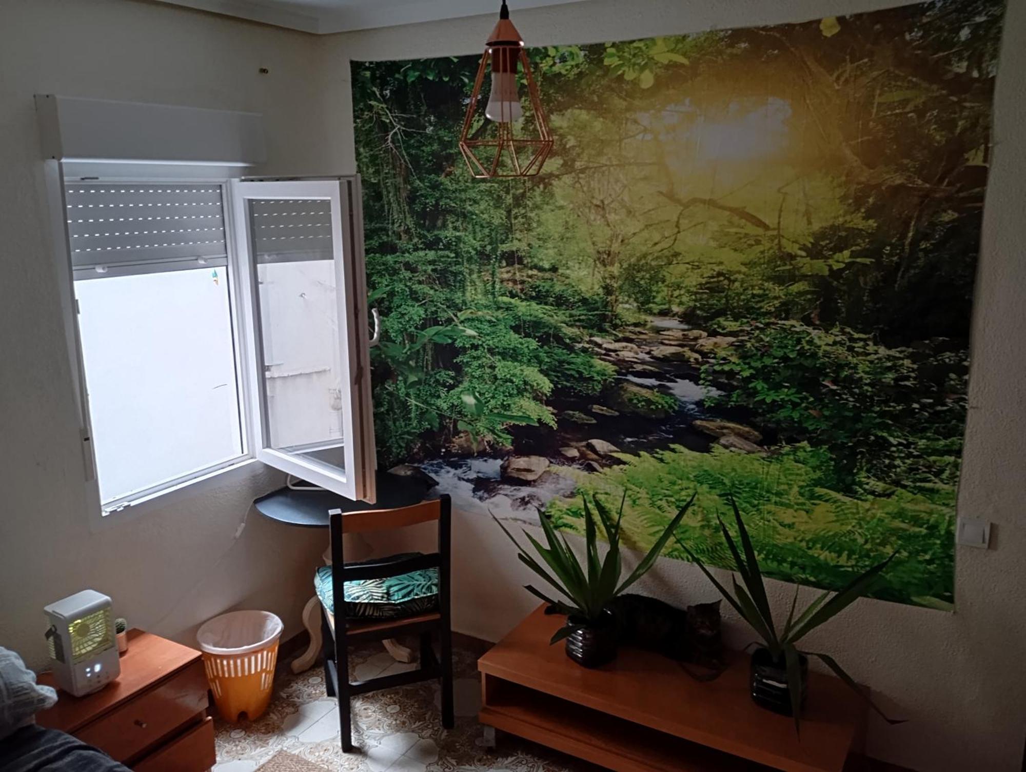 Grosses Modernes Zimmer "Silber" Fuer 2 Personen Und Katzenliebhaber Valencia Bagian luar foto