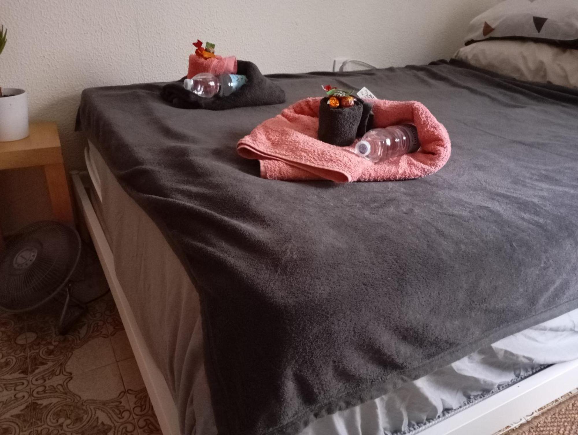 Grosses Modernes Zimmer "Silber" Fuer 2 Personen Und Katzenliebhaber Valencia Bagian luar foto
