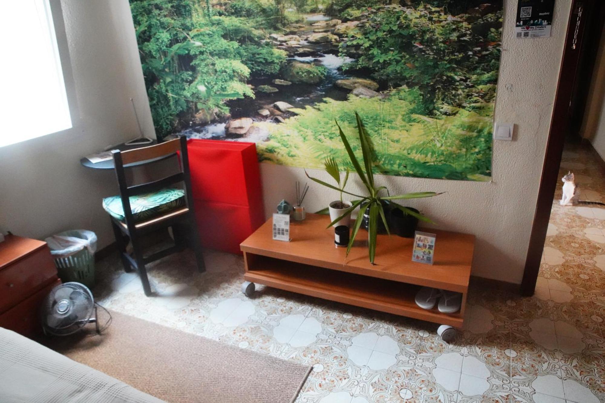 Grosses Modernes Zimmer "Silber" Fuer 2 Personen Und Katzenliebhaber Valencia Bagian luar foto